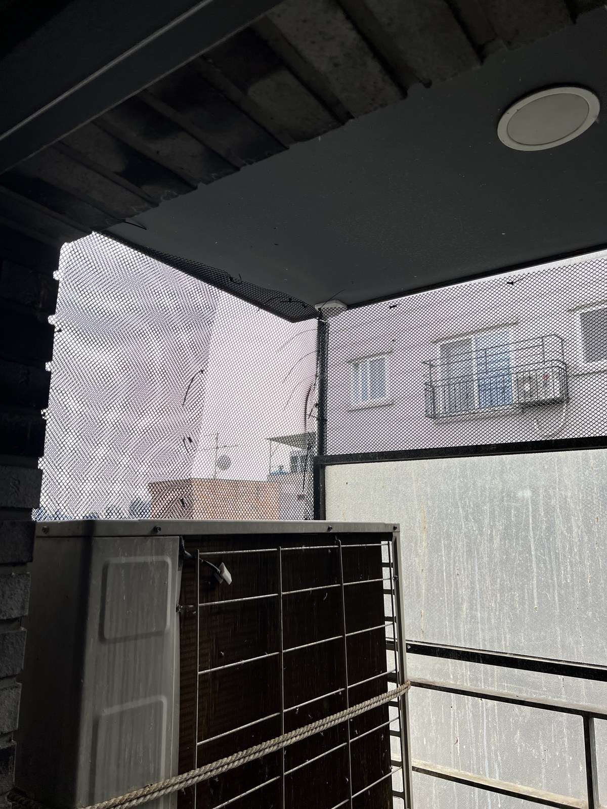 용산 사무실 테라스 비둘기 청소 작업일지 9